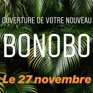 Green 7 - Ouverture Bonobo ! - 9fd48d2d 4eb5 41ef 8389 8e9acdc2de1d - 1